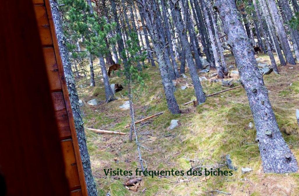Chalet Vue Sous Cet Angles Kültér fotó